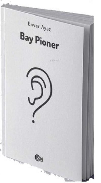 Bay Pioner