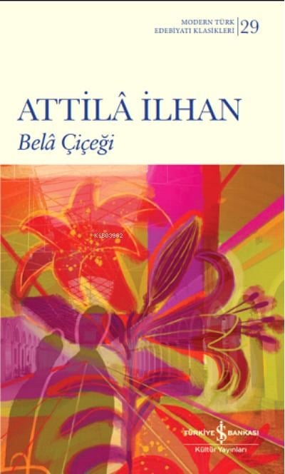 Bela Çiçeği
