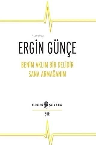 Benim Aklım Bir Delidir Sana Armağanım