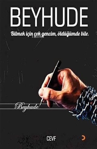 Beyhude