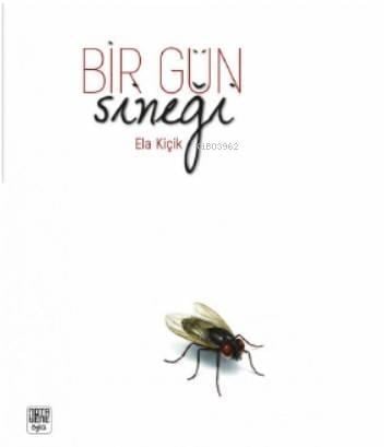 Bir Gün Sineği