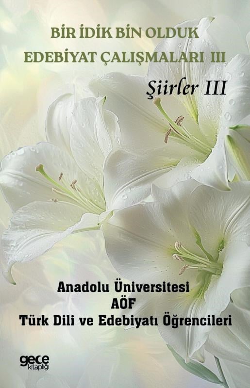 Bir İdik Bin Olduk Edebiyat Çalışmaları III;Şiirler III