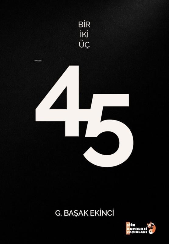 Bir İki Üç - 45