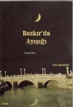 Bozkır'da Ayışığı
