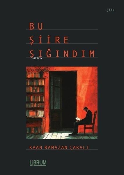 Bu Şiire Sığındım