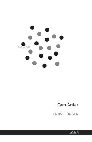 Cam Arılar