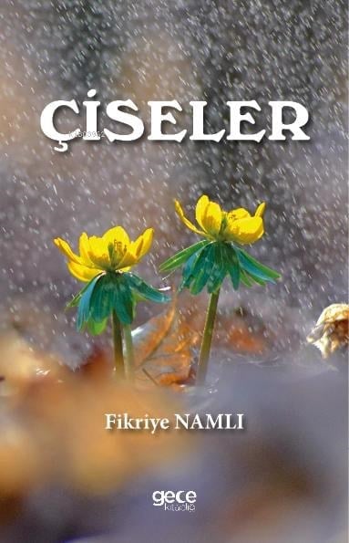 Çiseler
