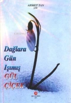 Dağlara Gün Işımış Gül Çiçek