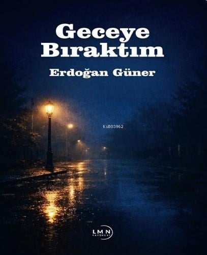 Geceye Bıraktım