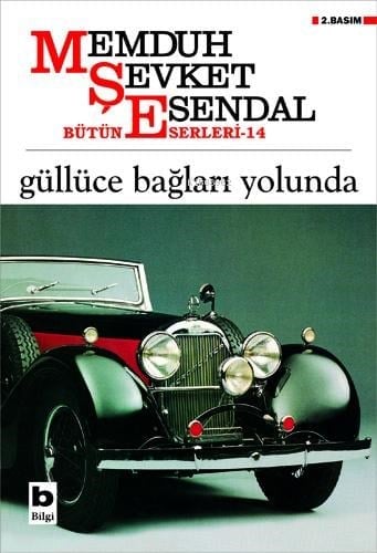 Güllüce Bağları Yolunda