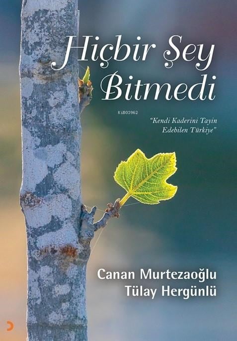 Hiçbir Şey Bitmedi;Kendi Kaderini Tayin Edebilen Türkiye