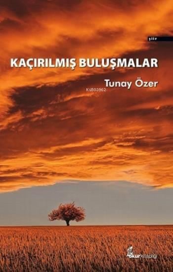 Kaçırılmış Buluşmalar