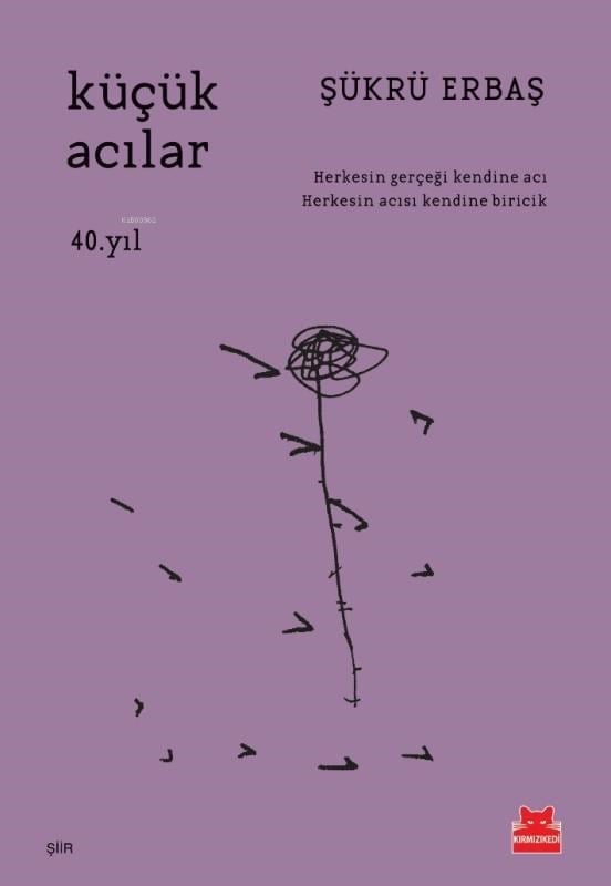 Küçük Acılar;Herkesin Gerçeği Kendine Acı Herkesin Acısı Kendine Biricik