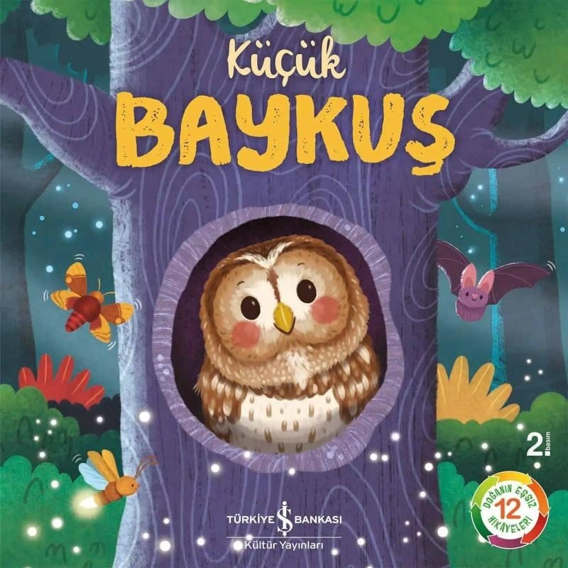 Küçük Baykuş