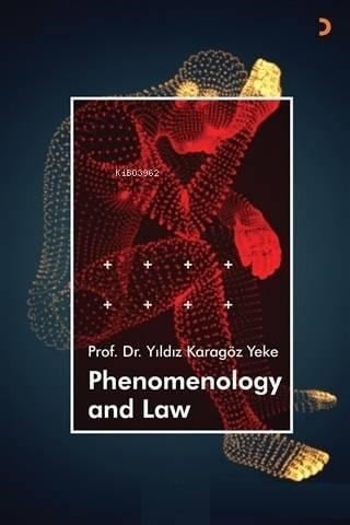 Phenomenology and Law