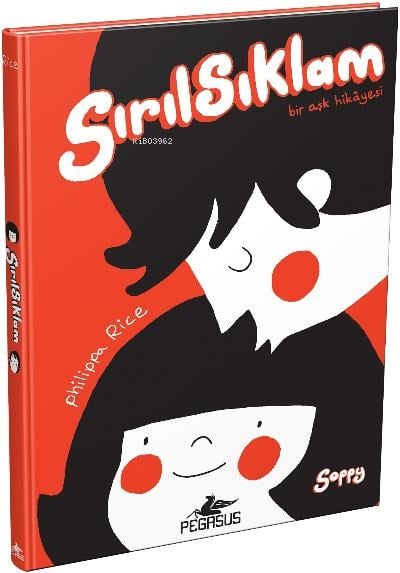 Sırılsıklam Bir Aşk Hikâyesi- Ciltli