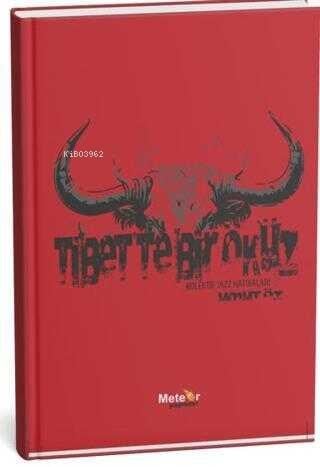 Tibet’te Bir Öküz