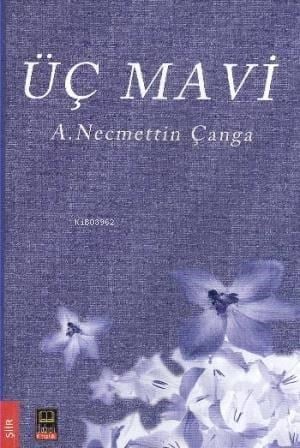 Üç Mavi