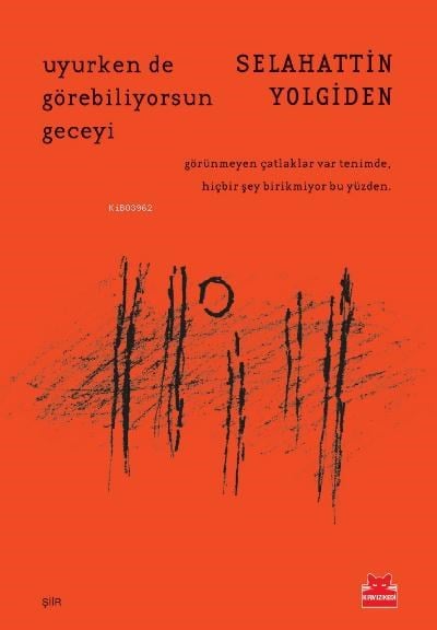 Uyurken de Görebiliyorsun Geceyi