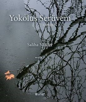 Yokoluş Serüveni
