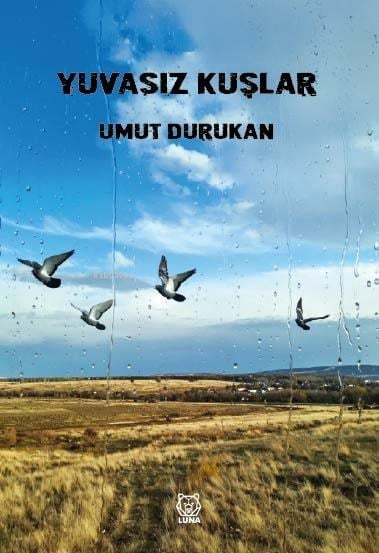 Yuvasız Kuşlar