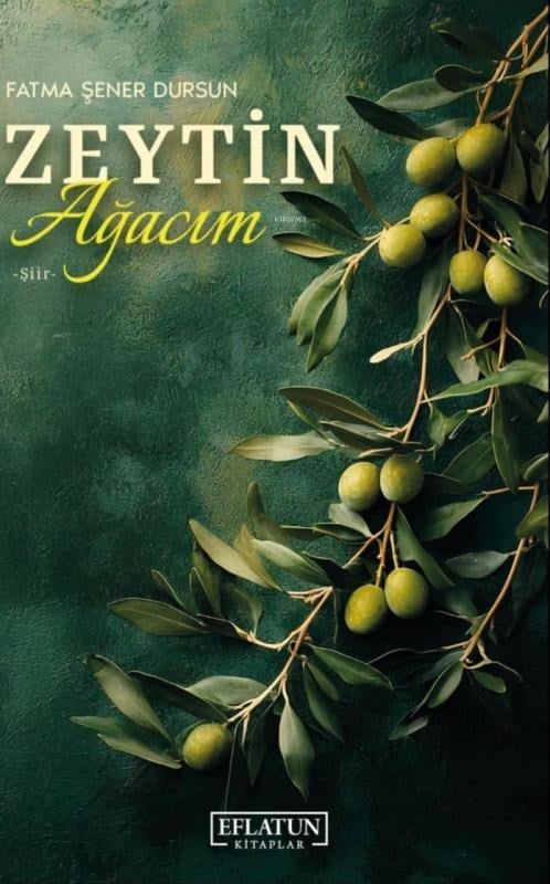 Zeytin Ağacım