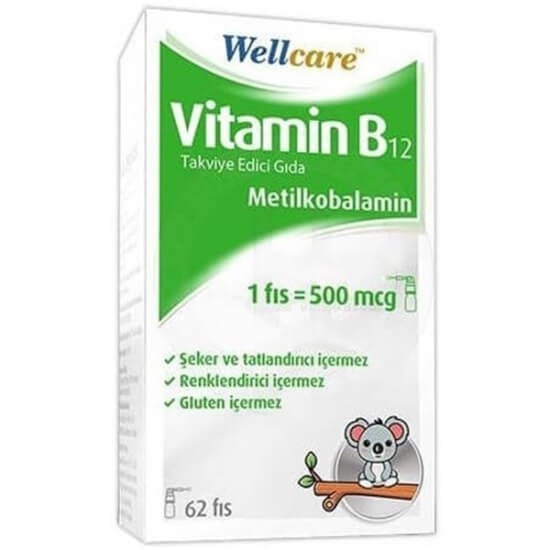 wellcare-vitamin-b12-500-mcg-sprey-5-m-065932.jpg