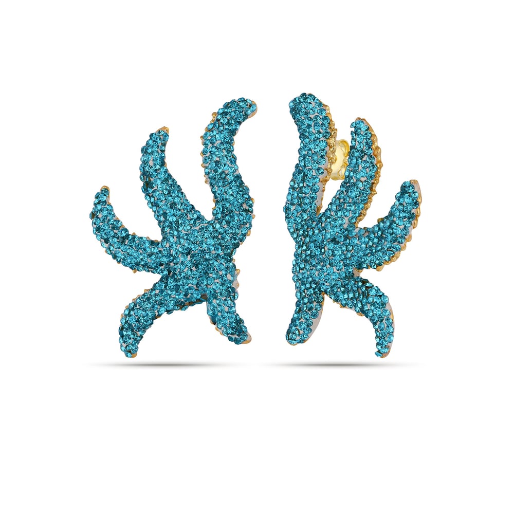 Aqua Stella Küpe