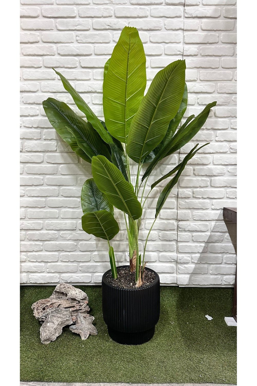 Yapay Muz Ağacı 180cm Siyah Saksıda