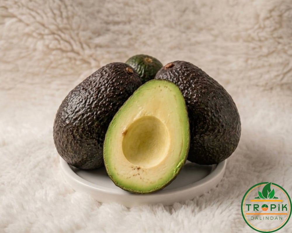 AVOKADO / ADET