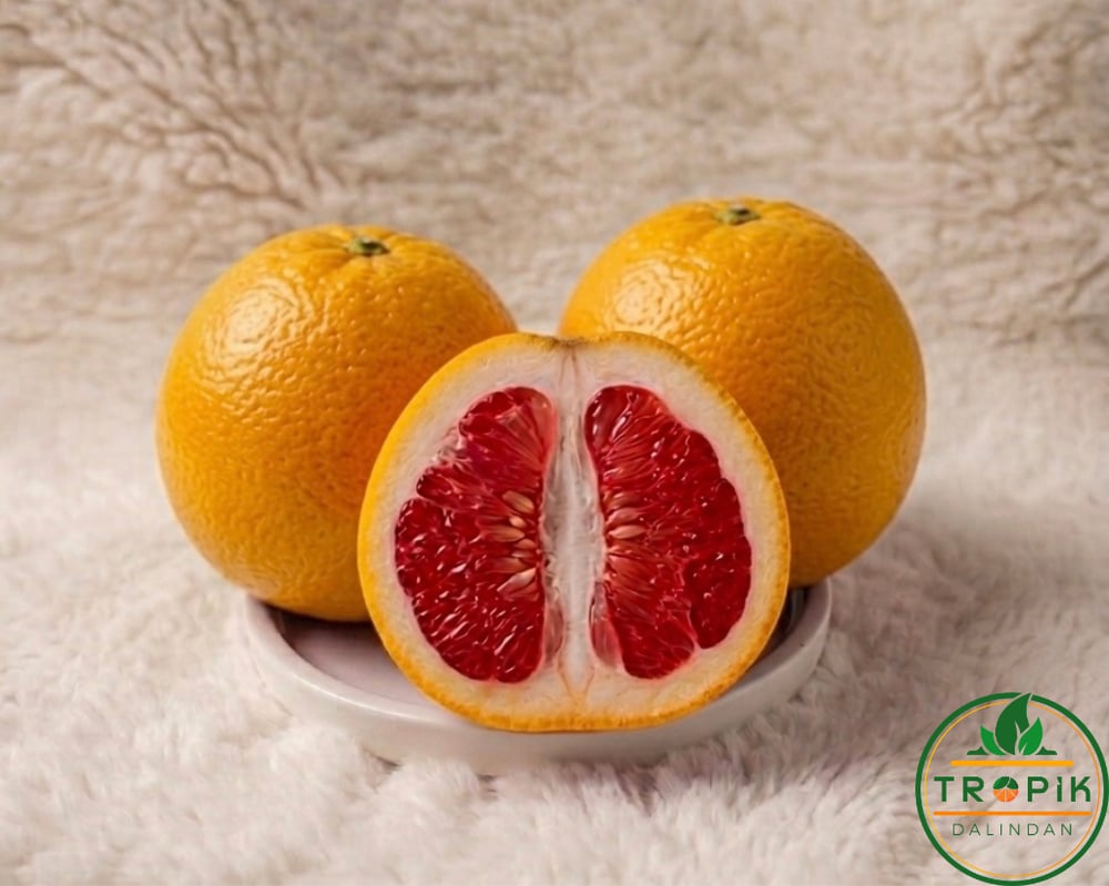 POMELO