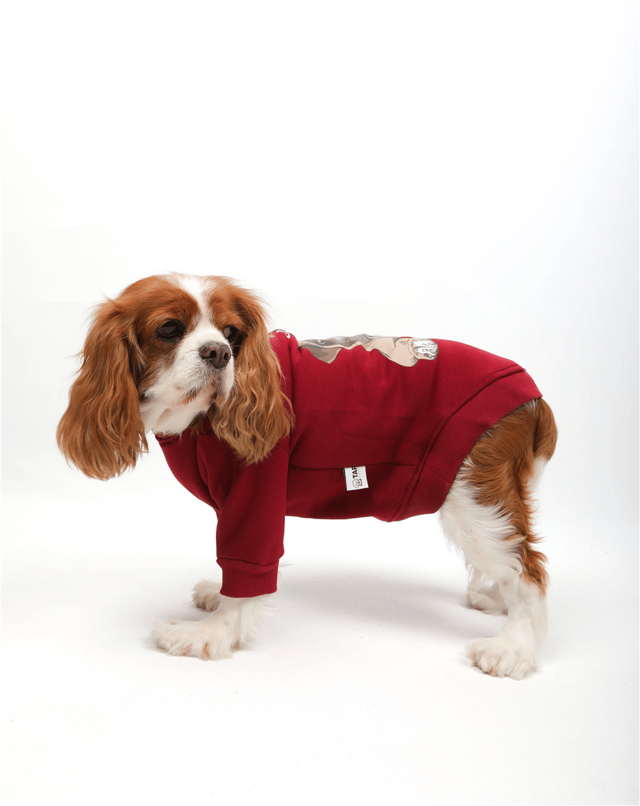 Coffee Dog Basıc Kazak Bordo