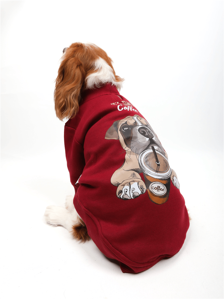 Coffee Dog Basıc Kazak Bordo