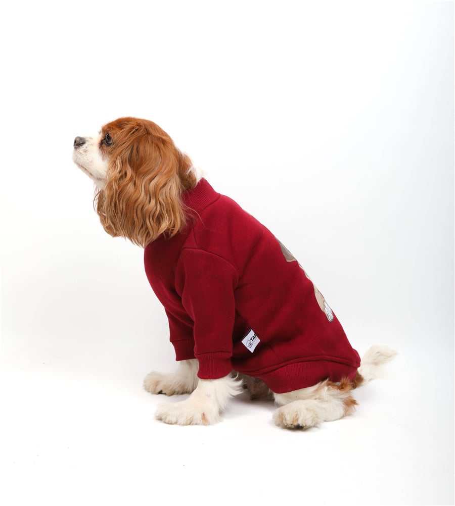 Coffee Dog Basıc Kazak Bordo