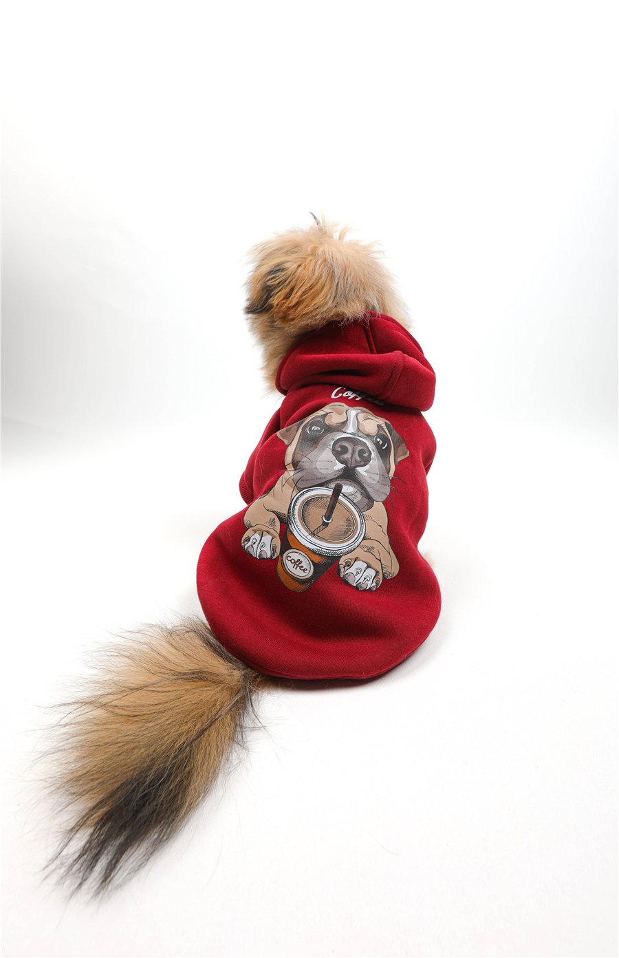 Coffee Dog Kapüşonlu Sweatshirt Bordo