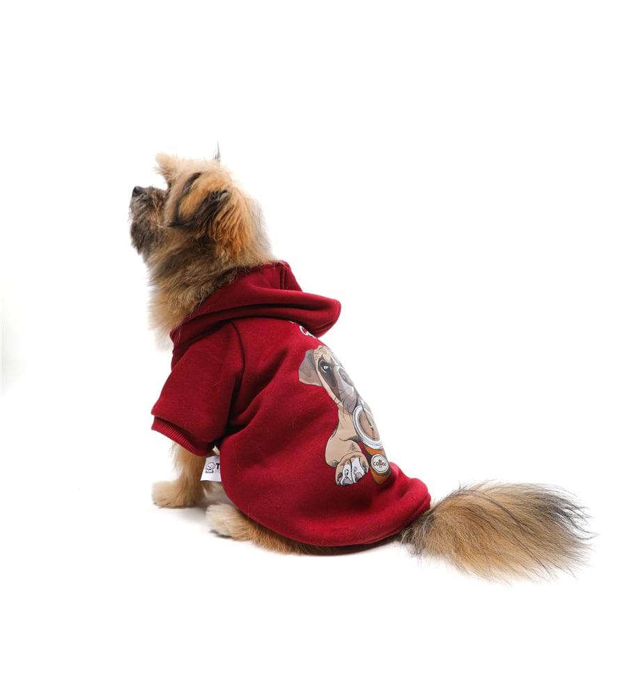Coffee Dog Kapüşonlu Sweatshirt Bordo