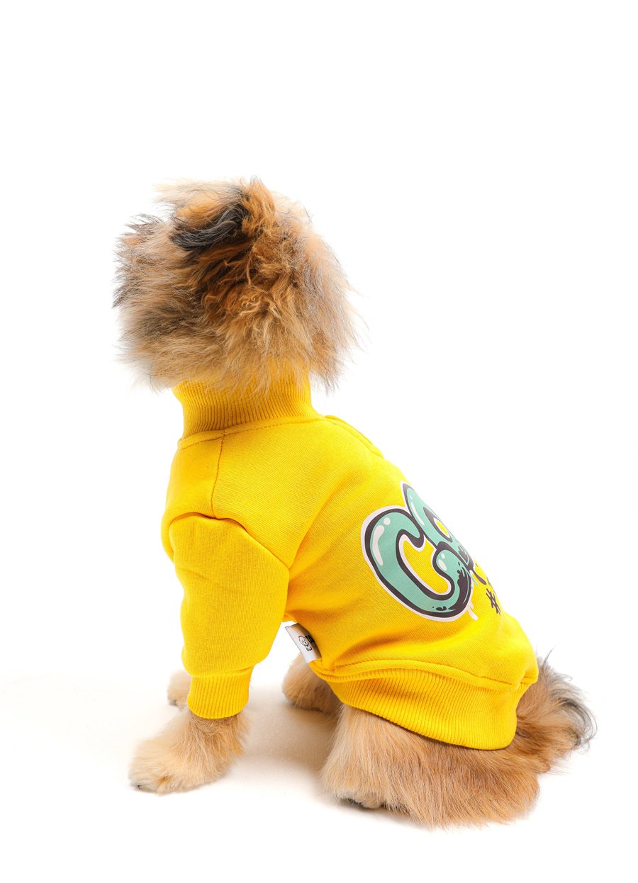 Cool Yellow Basic Kazak Sarı