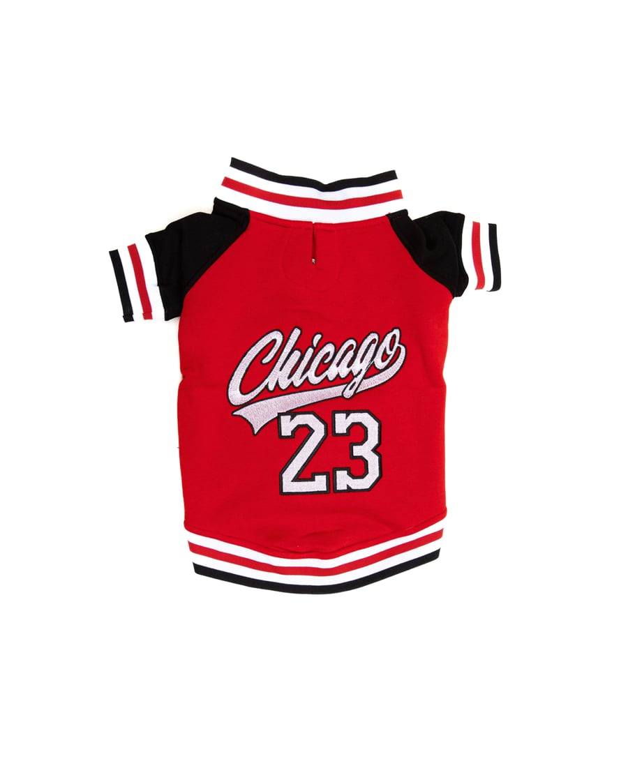 Kırmızı Chicago Kolej Ceket Kırmızı