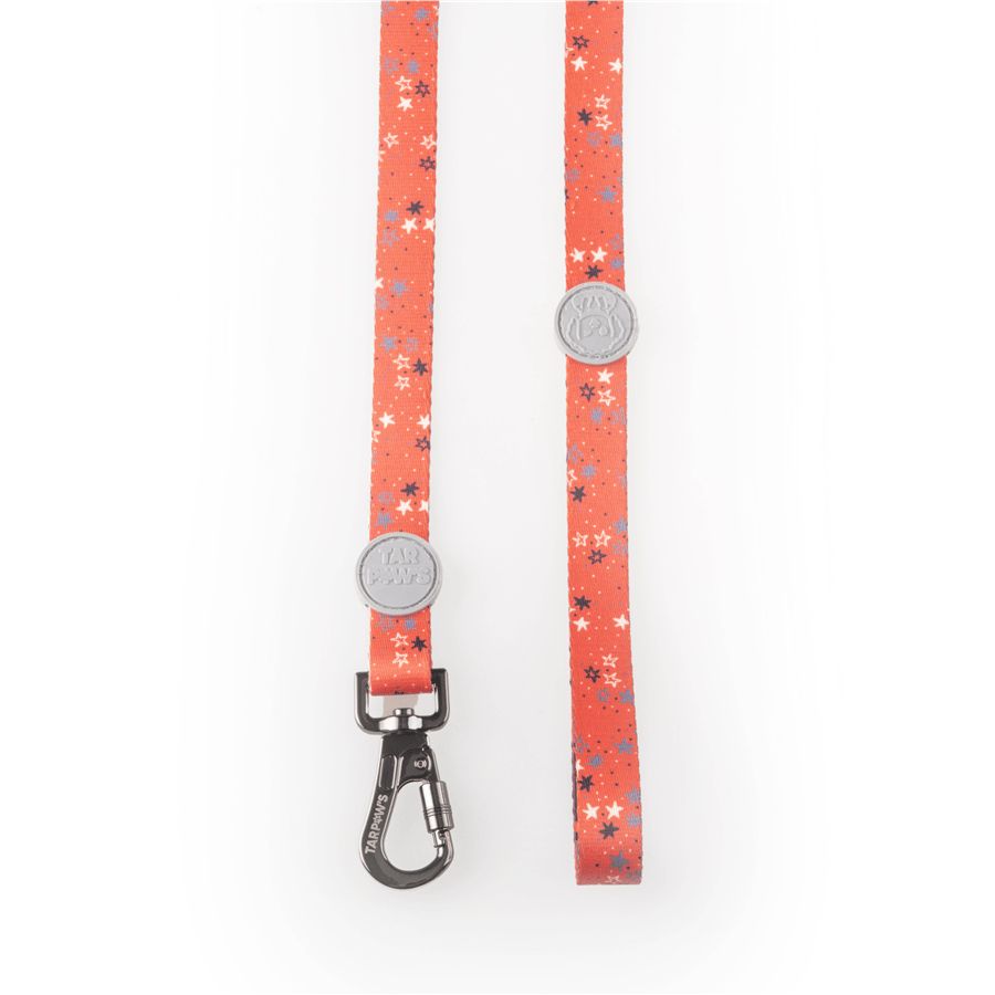 Orange Star Boyun Tasması Gri
