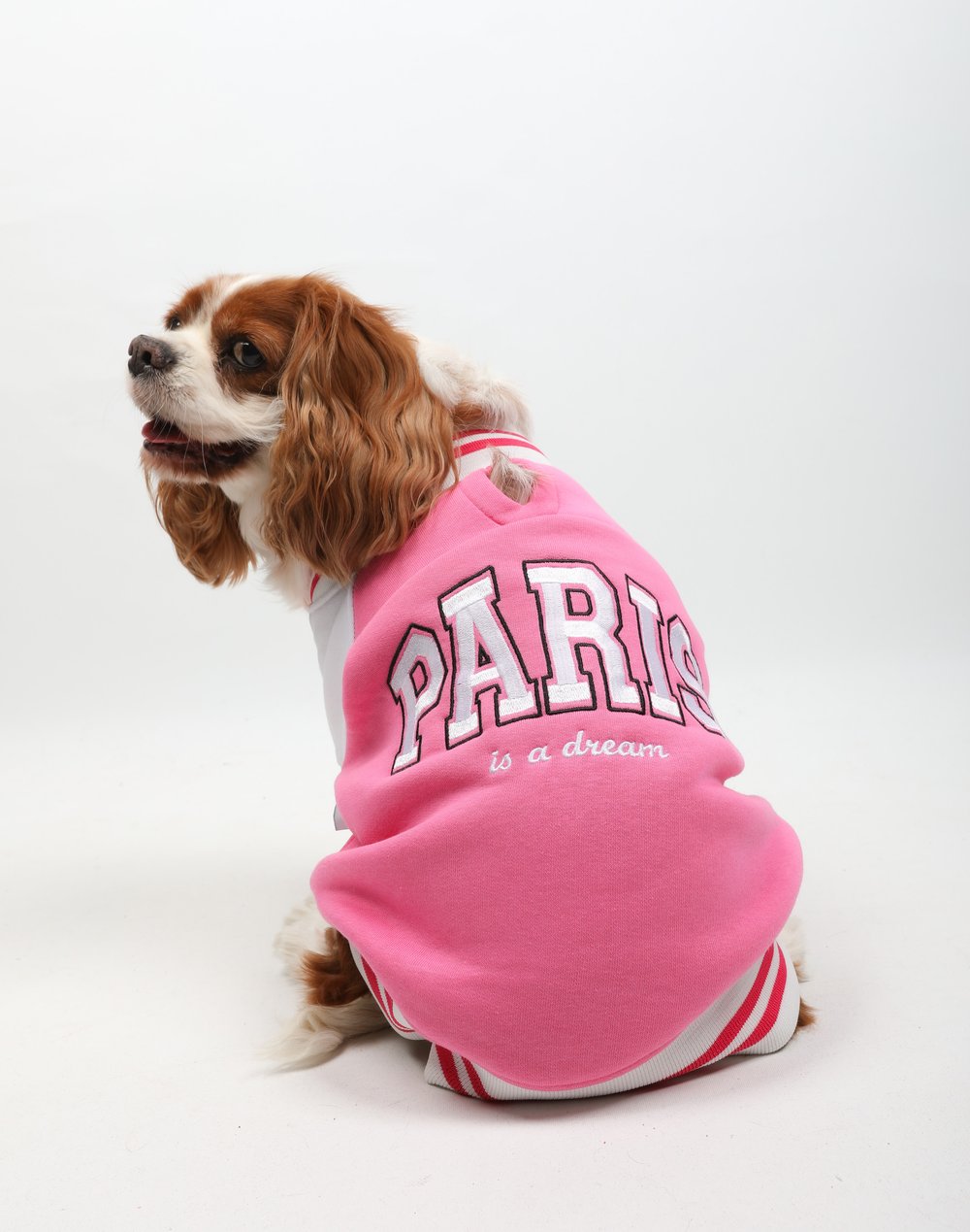 Paris  Kolej Ceket Pembe