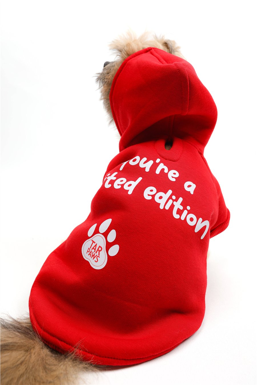 Red Limited Kapüşonlu Sweatshirt Kırmızı