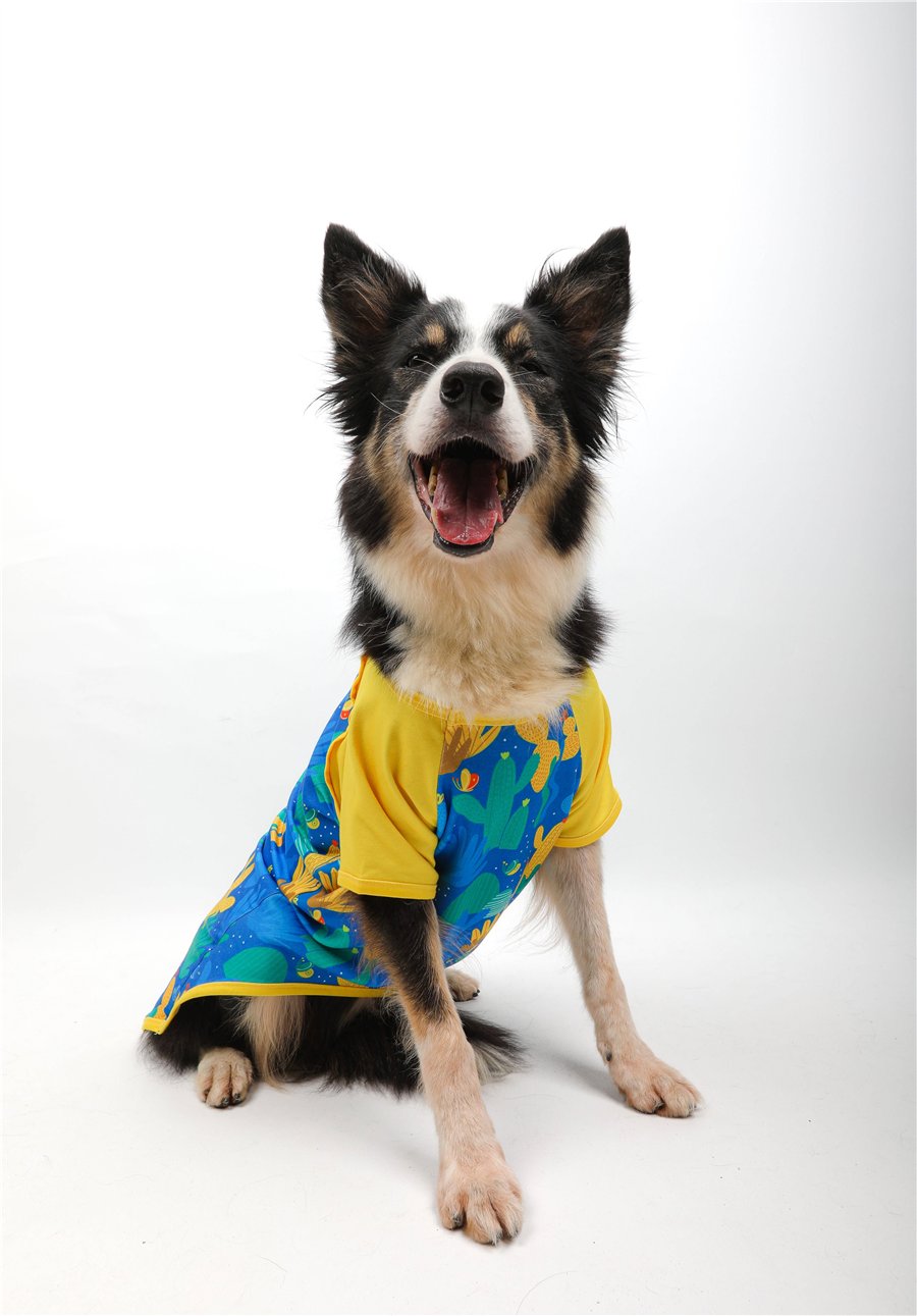 Spiky Tails T-Shirt Mavi
