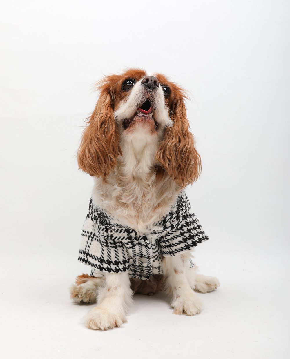 Tar White Plaid Oduncu Gömleği Beyaz