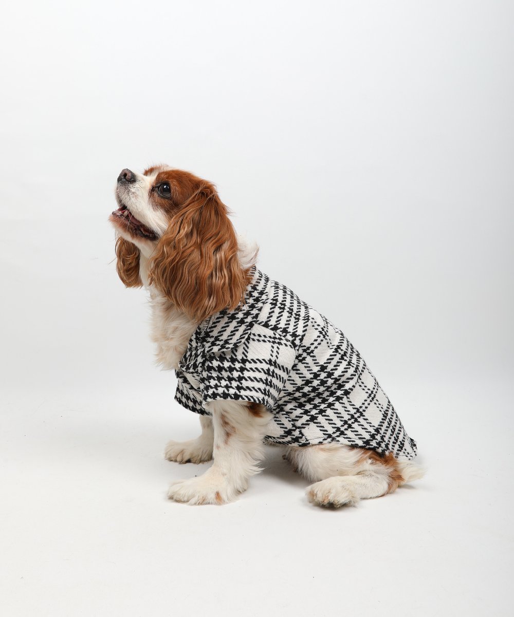 Tar White Plaid Oduncu Gömleği Beyaz