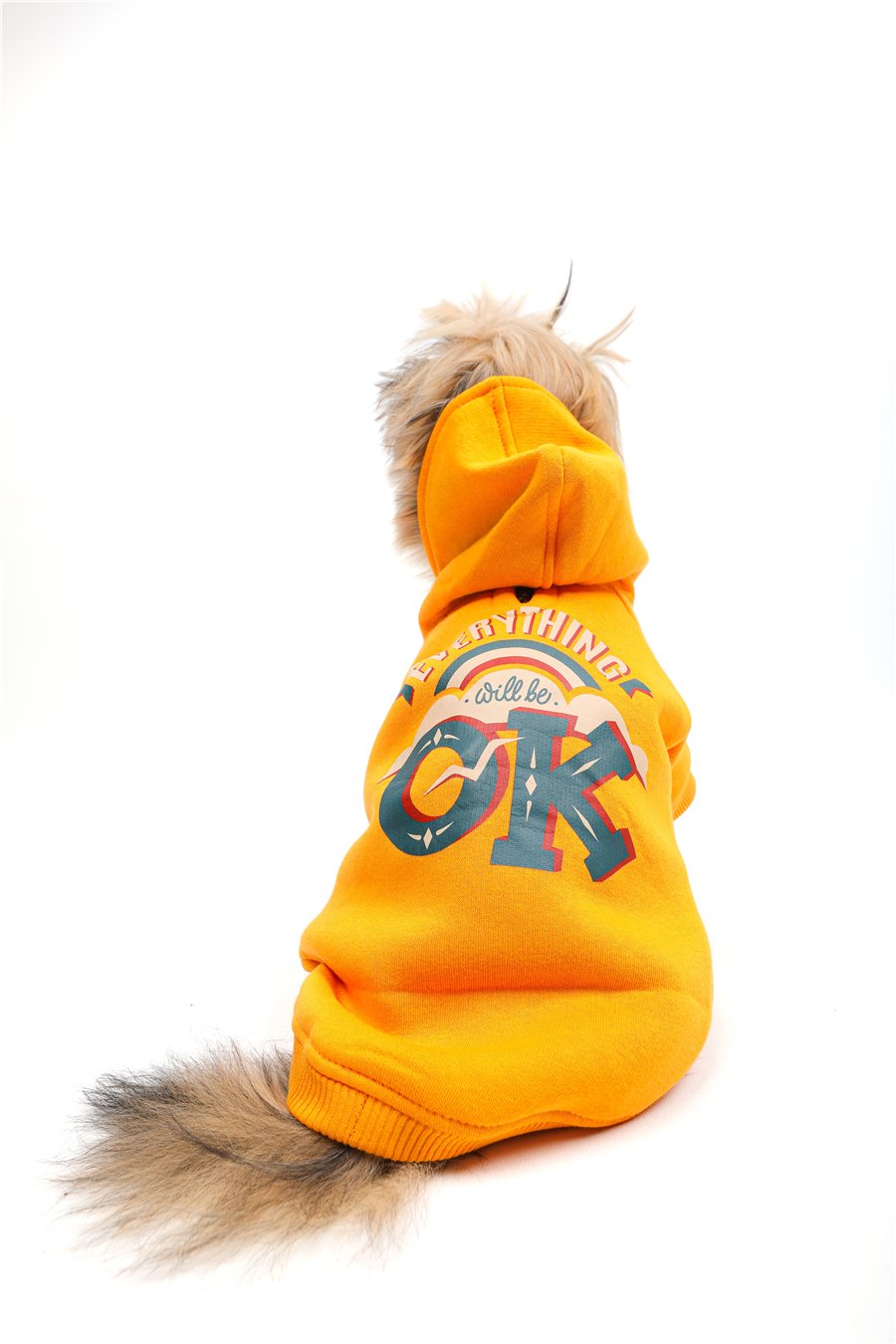 Will Be Ok Kapüşonlu Sweatshirt Hardal
