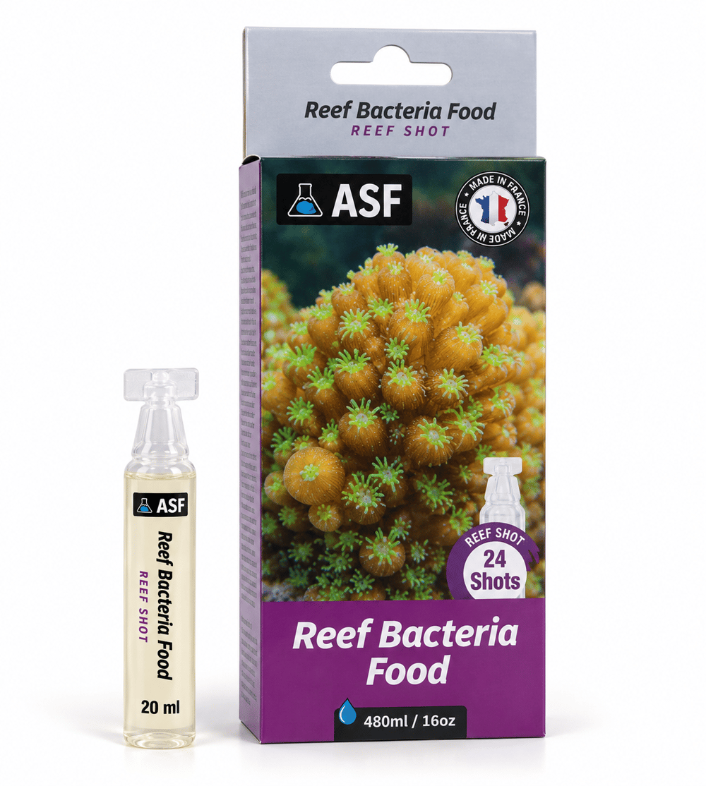 Reef Bacteria Food Shots 24 x 20ml Bakteri Besini