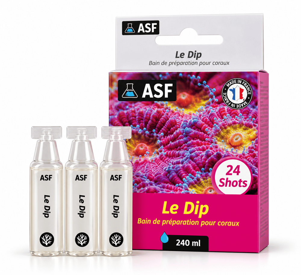 Aquarium Systems Le Dip 24x20ml