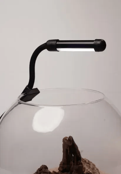 OrionLed Fanus Mini Led Siyah