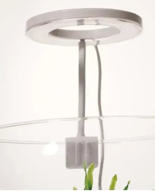 OrionLed Goosneck Fanus & Nano Akvaryum Led Aydınlatma Oval