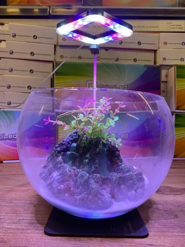 OrionLed Goosneck Fanus & Nano Akvaryum Led Aydınlatma Kare Siyah